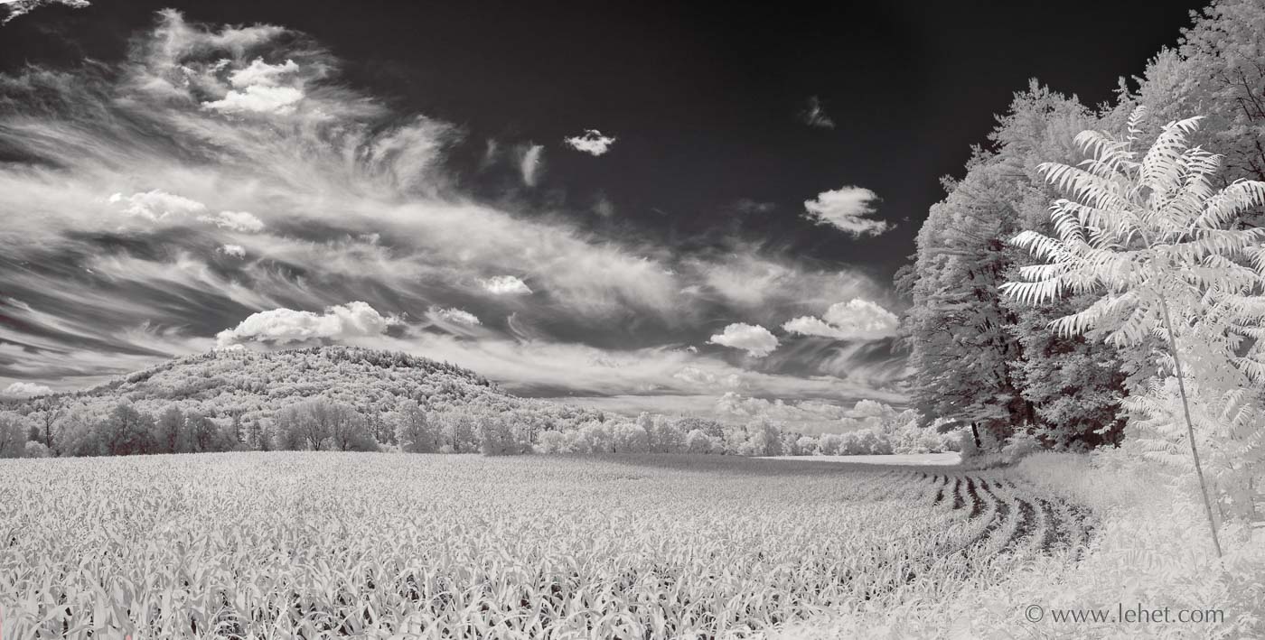 Cornfield and cirrus clouds, Vermont