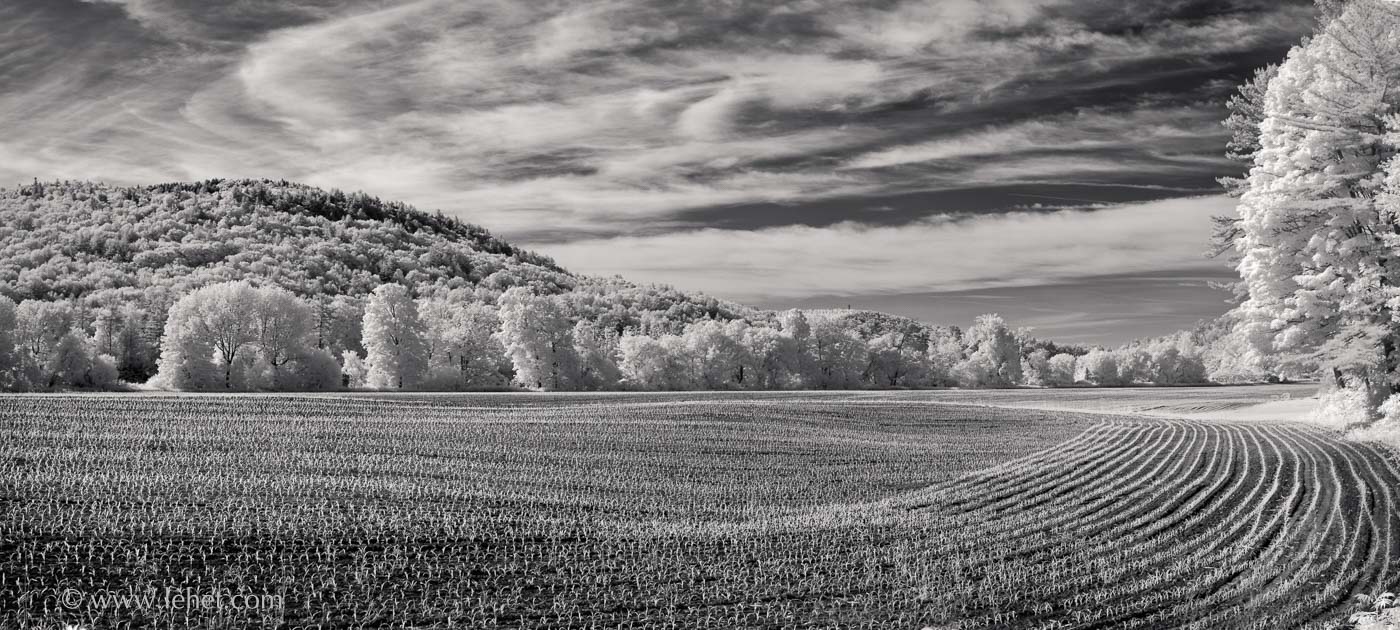 Spring Cornfield and Echo Curve Cloud, Vermont 2016