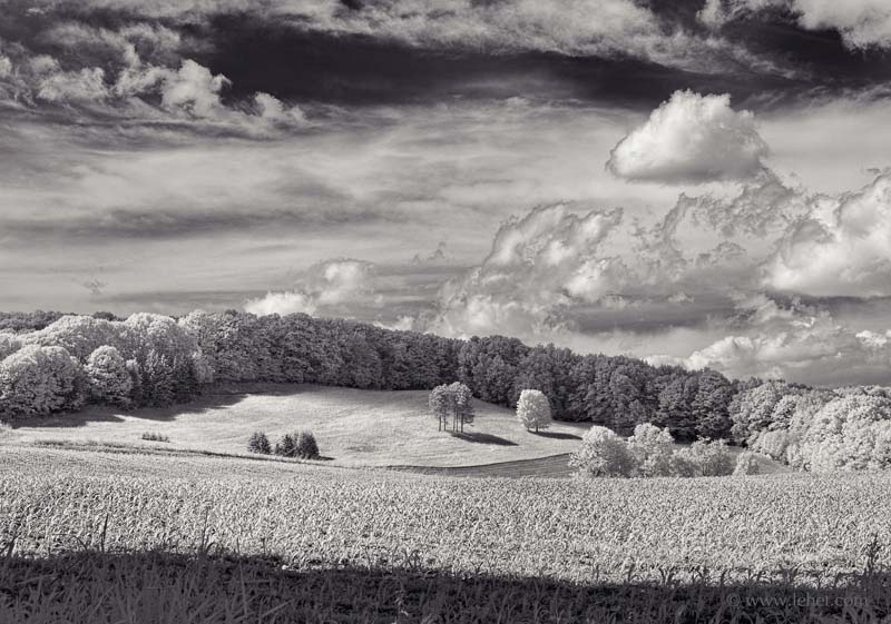 Spring Cornfield,Hay Field,Clouds,Hartland Vermont