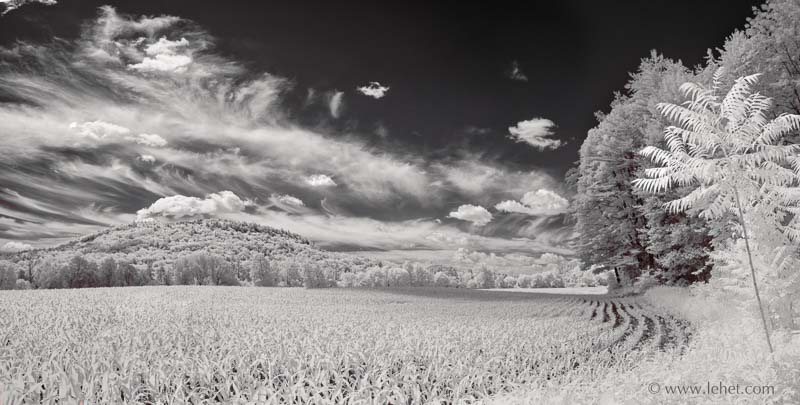 Hartland Vermont Spring Cornfield,Cirrus Clouds