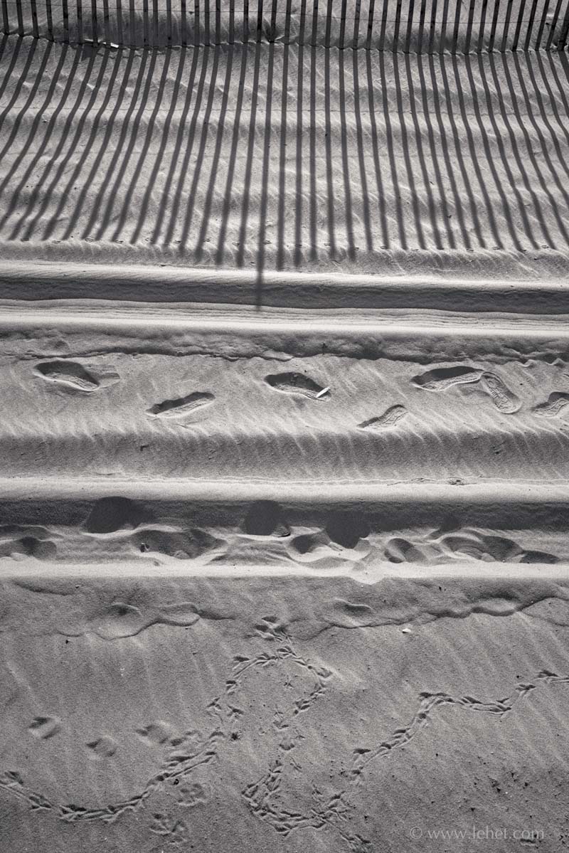 Seagull,Humans,Tires,Shadows,Sand