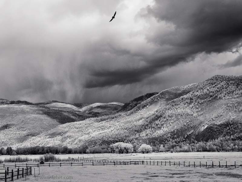 Fences,Hawk,and Storm,Colorado