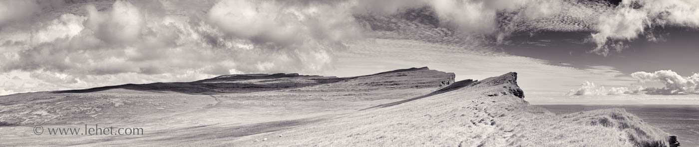 Three Sheep, Path Along Puffin Cliff, Iceland