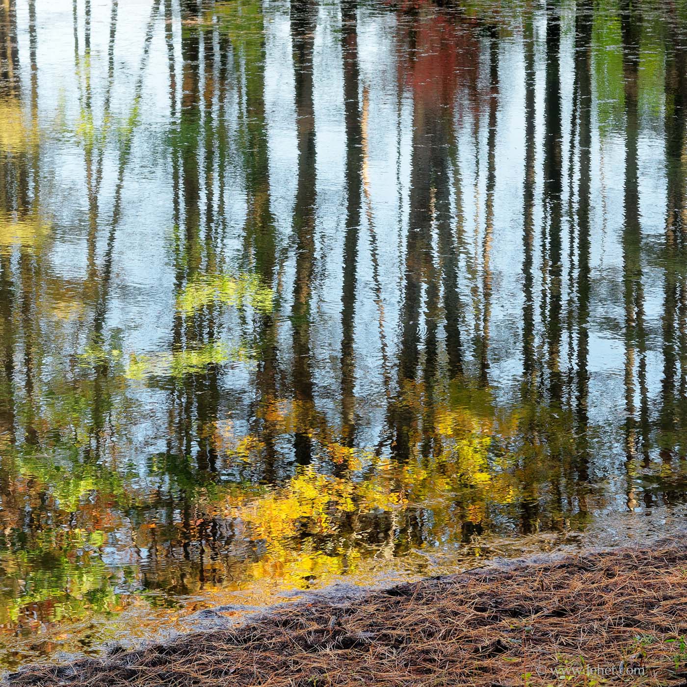 Pond in Woods, Hartland Vermont, October 2014