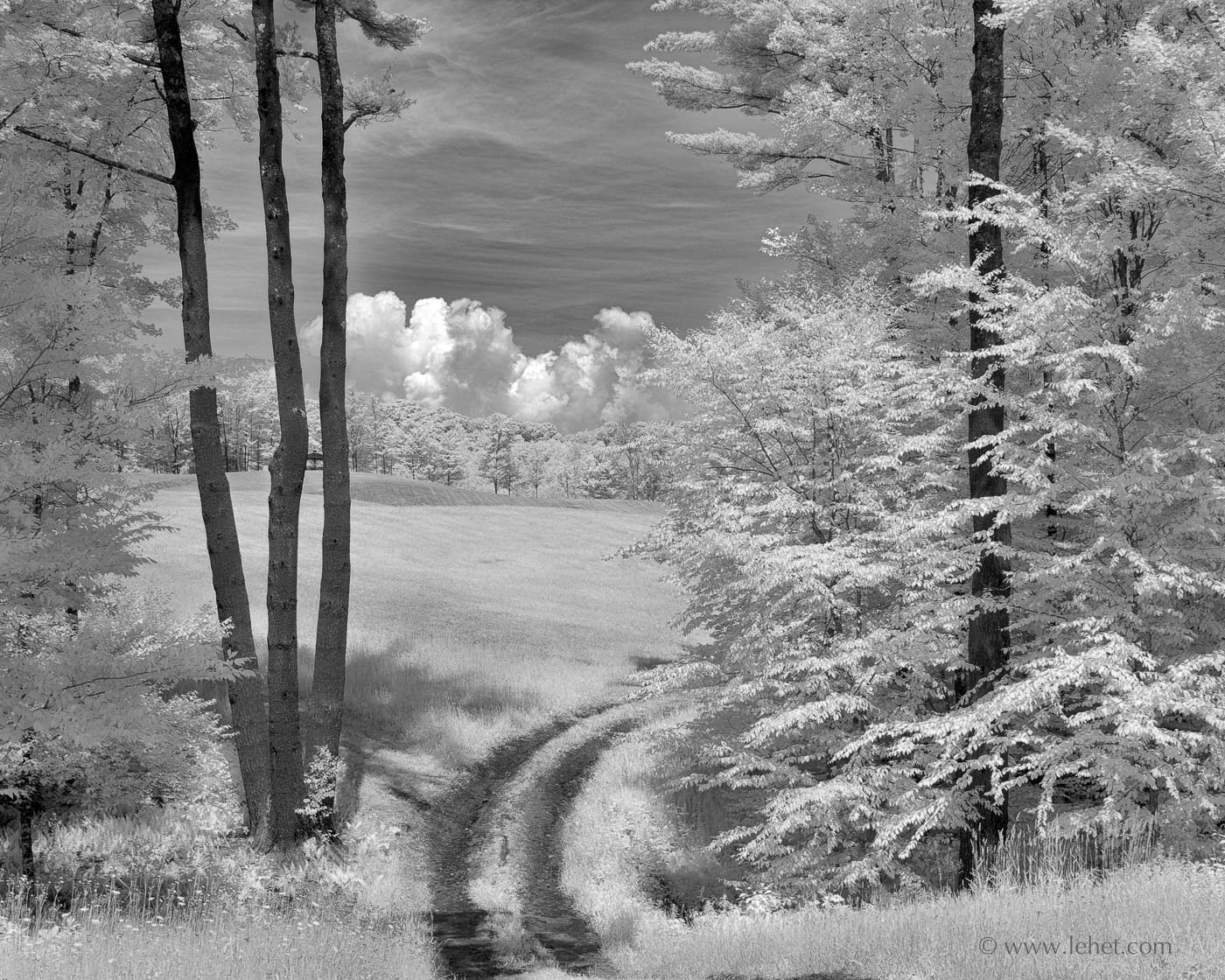Curved Farm Road, Infrared, Vermont