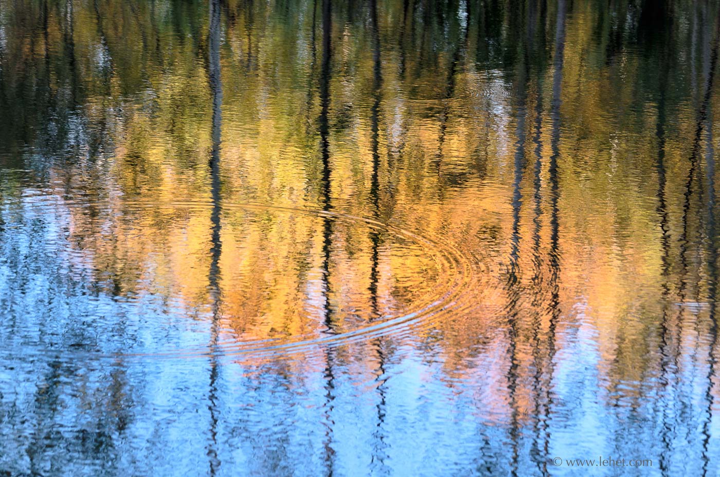 foliage reflections vermont autumn