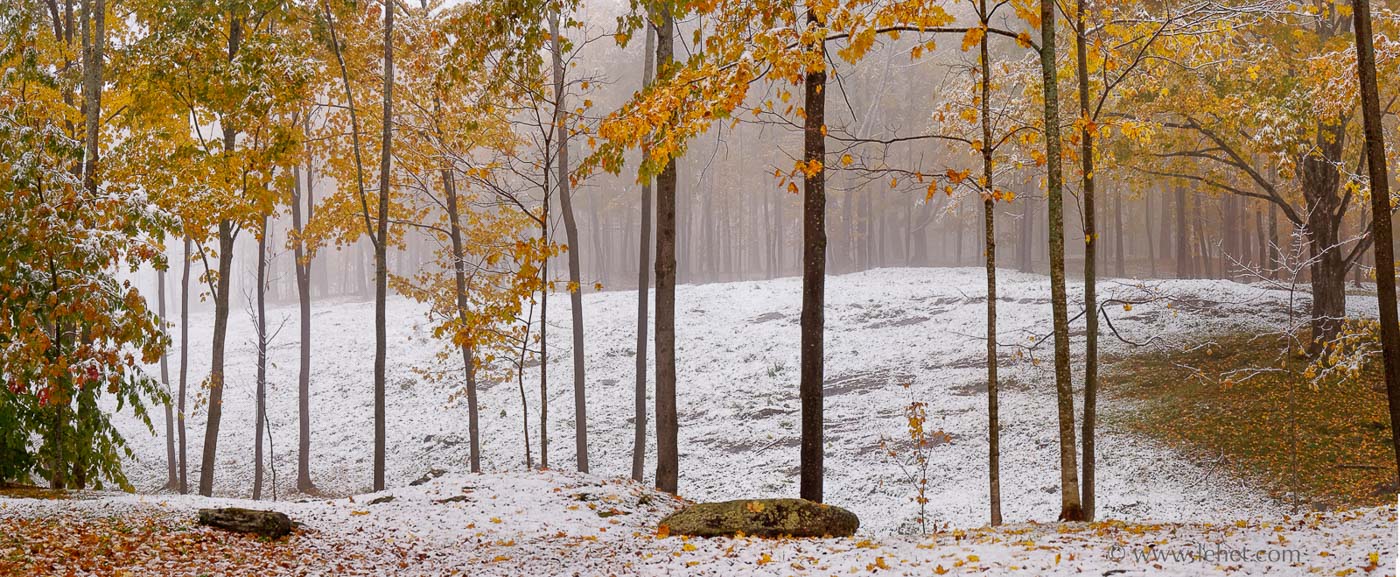 Vermont Snow and Foliage Panorama, Hartland, 2009