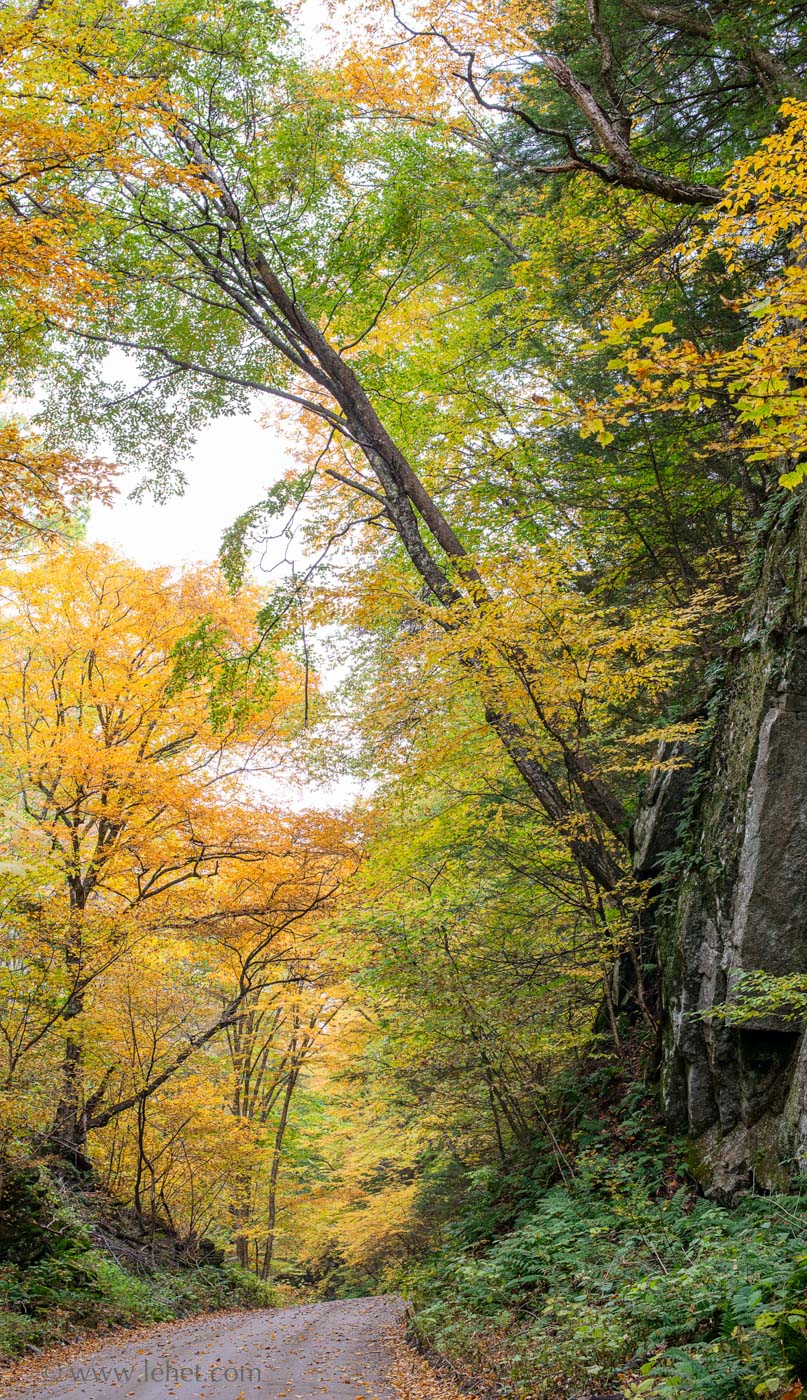 Cliff on an Autumn Road, Vermont