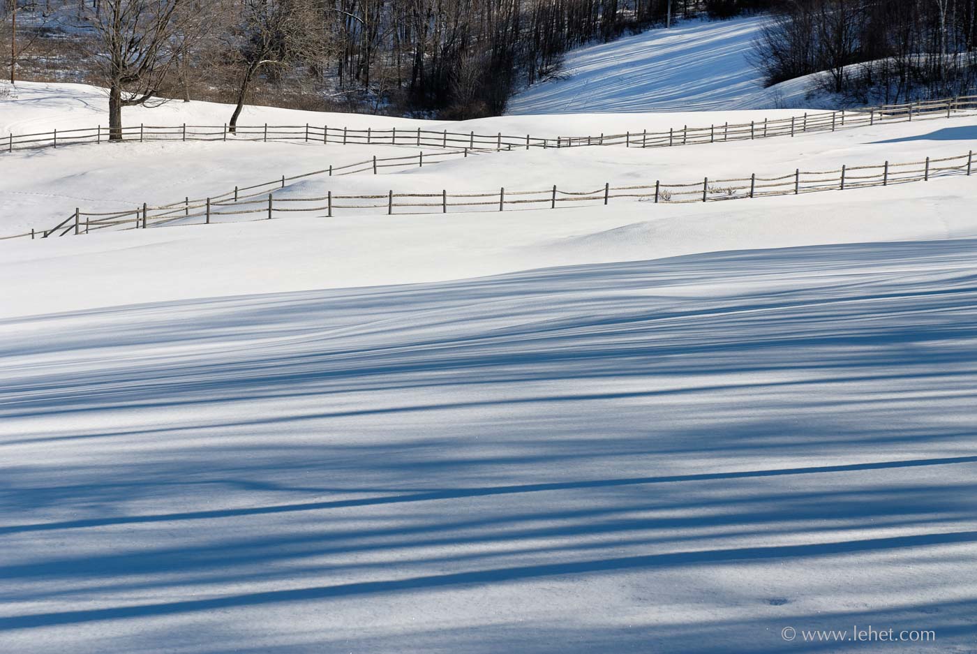 Snow Shadows, Horse Fences, Vermont