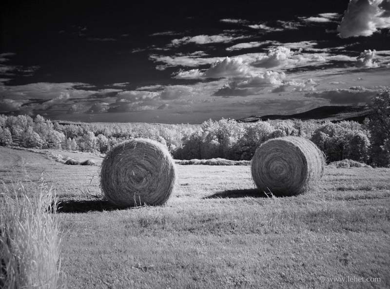 Round Hay Bales, Canaan, NH