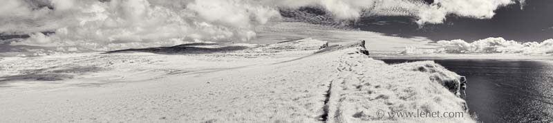 Three Sheep, Path Along Puffin Cliff, Iceland, Infrared