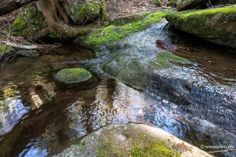 Mossy Green Rocks in Spring Stream