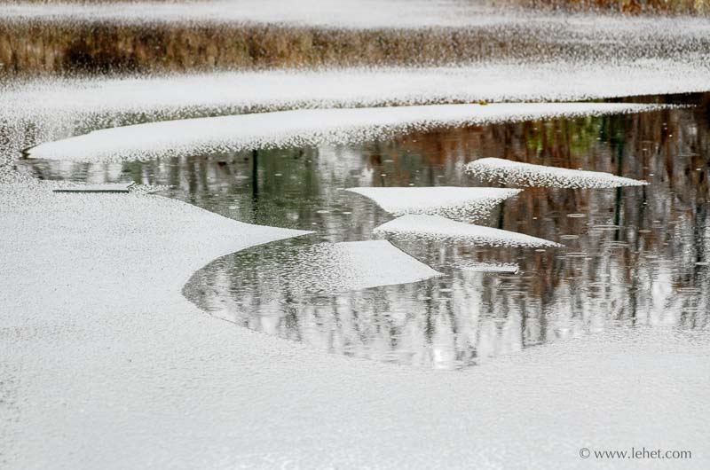 New Ice and Tree Reflections in Rain, 2013 II