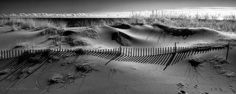 Dune Fence Shadow Panorama
