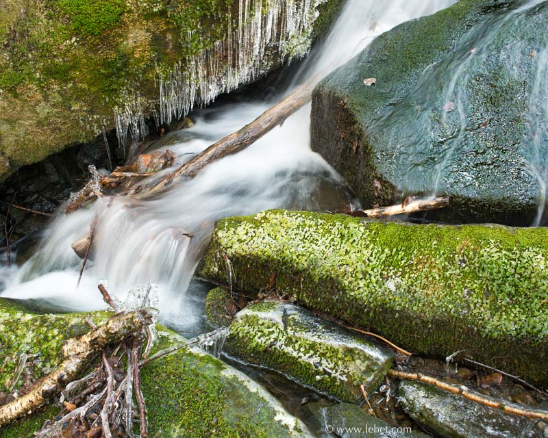 Ice by Mossy Stream, Vermont